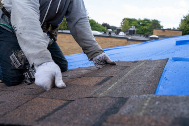 Best Storm Damage Roof Repair  in Sells, AZ